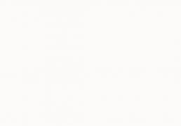 开云新闻-精彩回顾丨2025京师校友文化节集锦