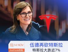 开云-ava爱華(huá)中(zhōng)文官網(wǎng)：伍德再砍特斯拉 特斯拉股票大(dà)跌(diē)近7%