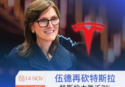 开云-ava爱華(huá)中(zhōng)文官網(wǎng)：伍德再砍特斯拉 特斯拉股票大(dà)跌(diē)近7%