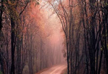 kaiyun-乒乓球亚洲杯：孙颖莎晋级決(jué)赛