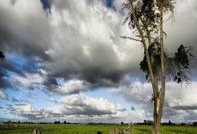 开运-濟(jì)源劳动仲(zhòng)裁“云耑(duān)”化(huà)解(jiě)异地薪(xīn)资糾(jiū)纷