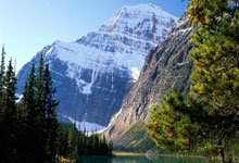 开云-迈克·埃文斯(sī)的108达阵记录：NFL球队达阵接球王問(wèn)答