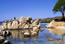 开云-网球(qiú)版狂飙！23岁猛(měng)女用ACE球(qiú)轰碎技术流，太野蛮了！