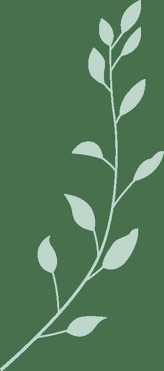 kaiyun-见面会精彩集锦新(xīn)鲜出炉！