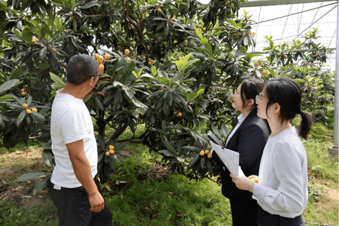 开运-宁波银行，打出一记漂亮的ACE球