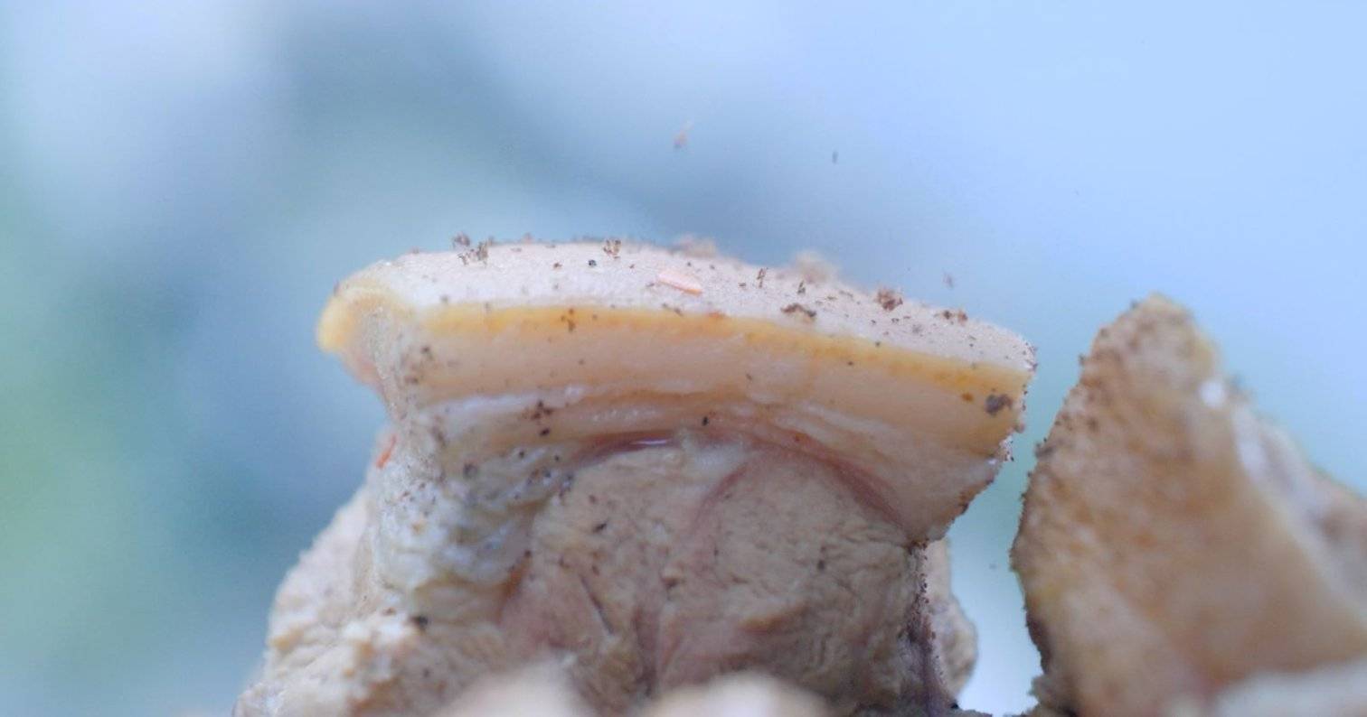 kaiyun-殺(shā)年(nián)猪、灌腊腸(cháng)、跳达体舞……凉山(shān)彝族自治州(zhōu)欢度彝族新(xīn)年(nián)